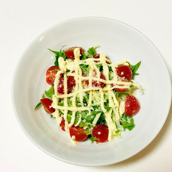 レモン風味の生野菜サラダ